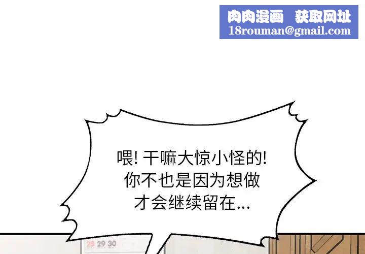 小镇上的女人们第28话