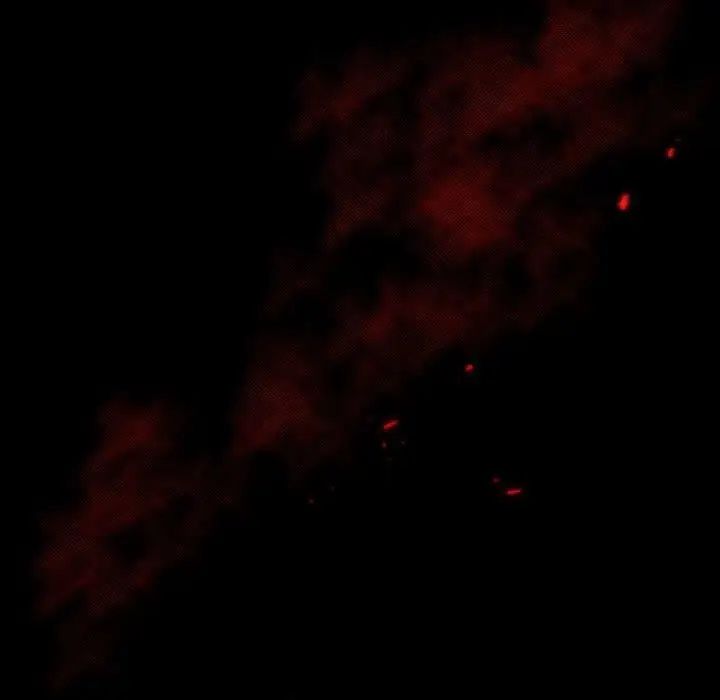 自帶香氣的男人第15话