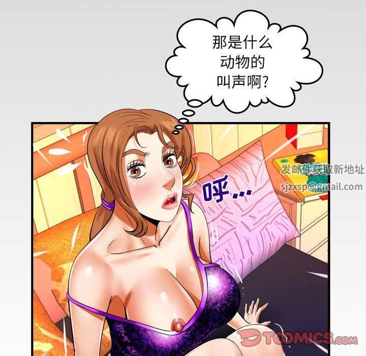 与婶婶的秘密第102话