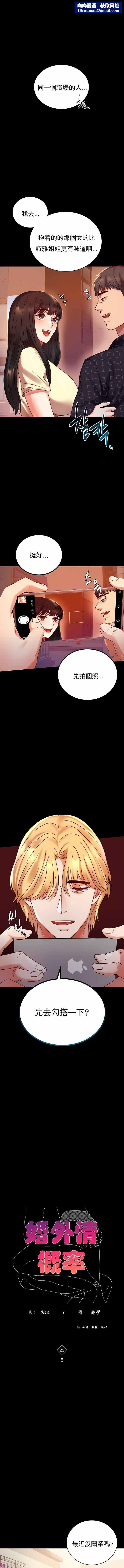 婚外情概率第25话