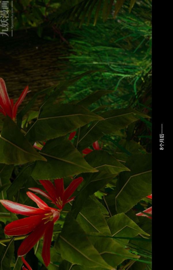 [3D]隔绝岛1-3+特别编+番外番外篇完结