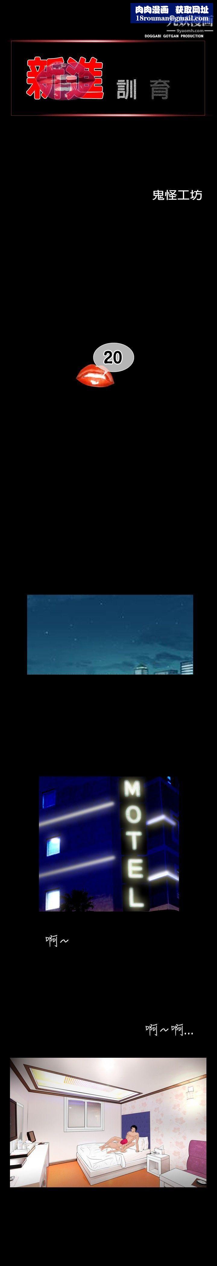 新进训育第20话