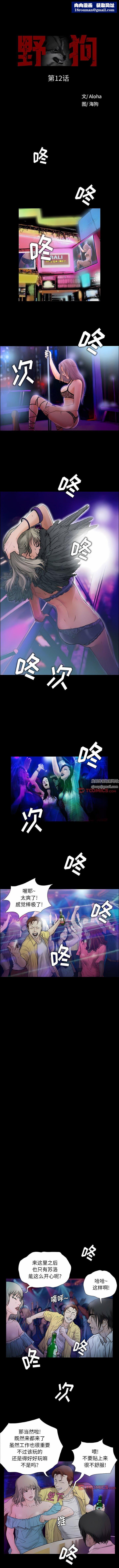 野狗第12话