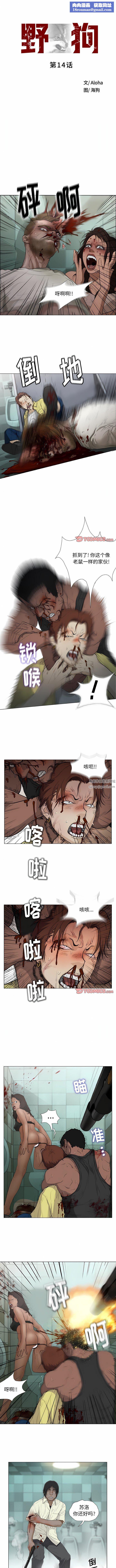 野狗第14话