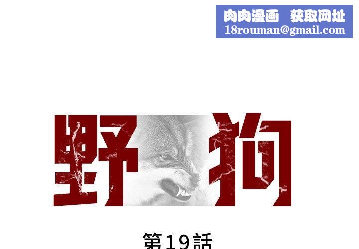野狗第19话
