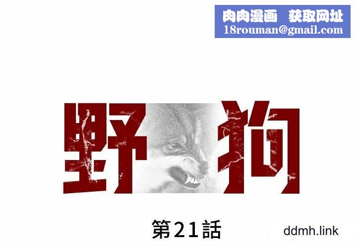 野狗第21话