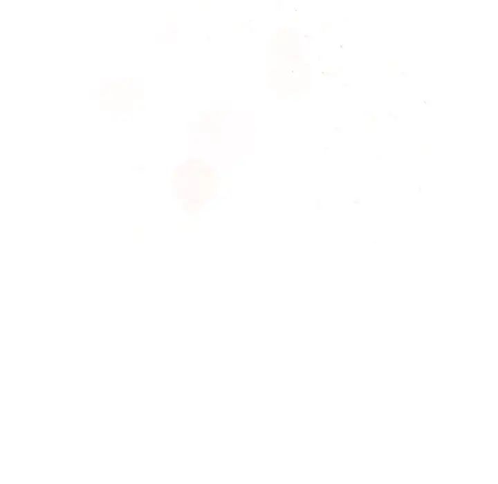 粉丝招募中!第27话