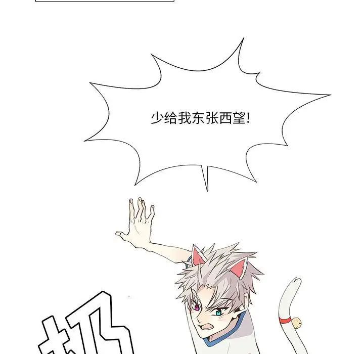 野性之城第25章