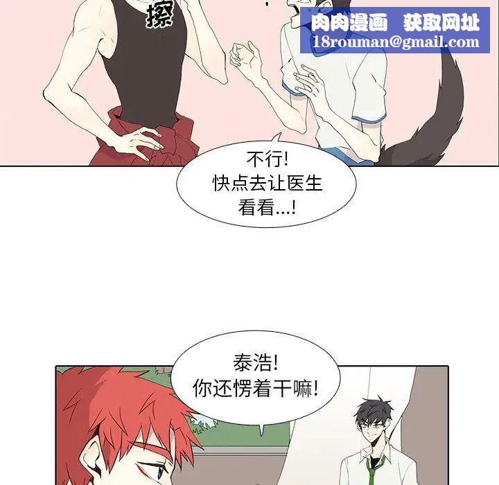 野性之城第25章