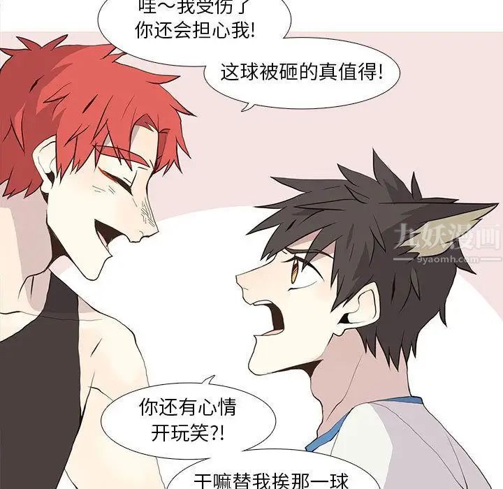 野性之城第25章