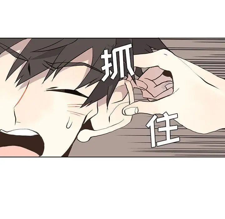 野性之城第25章