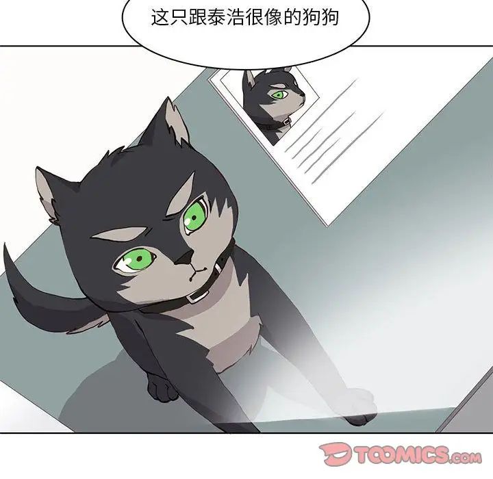 野性之城第35章