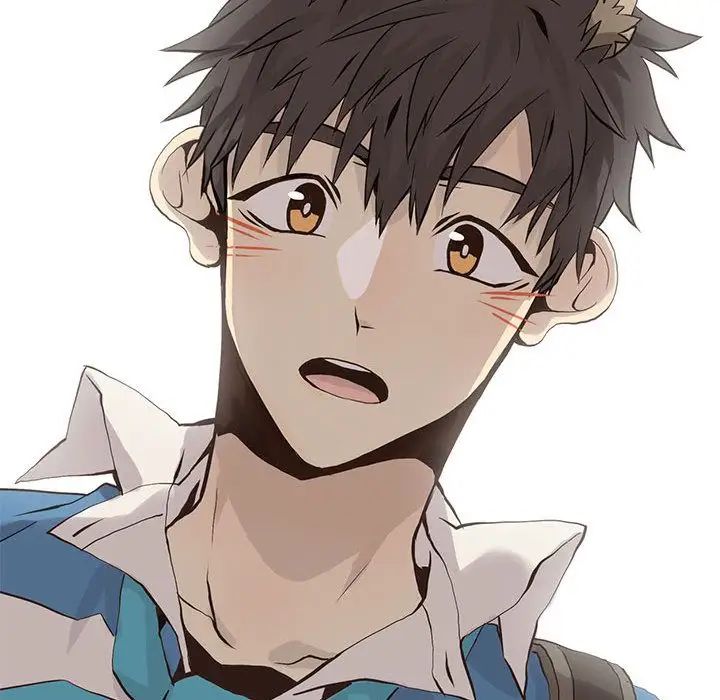 野性之城第41章