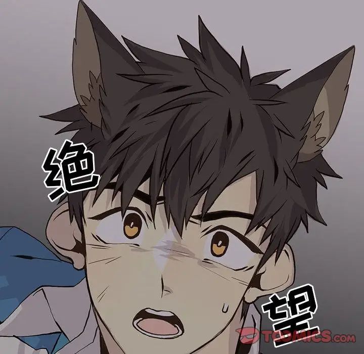 野性之城第45章