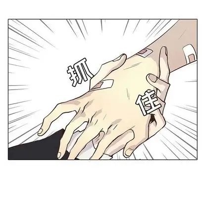 野性之城第47章