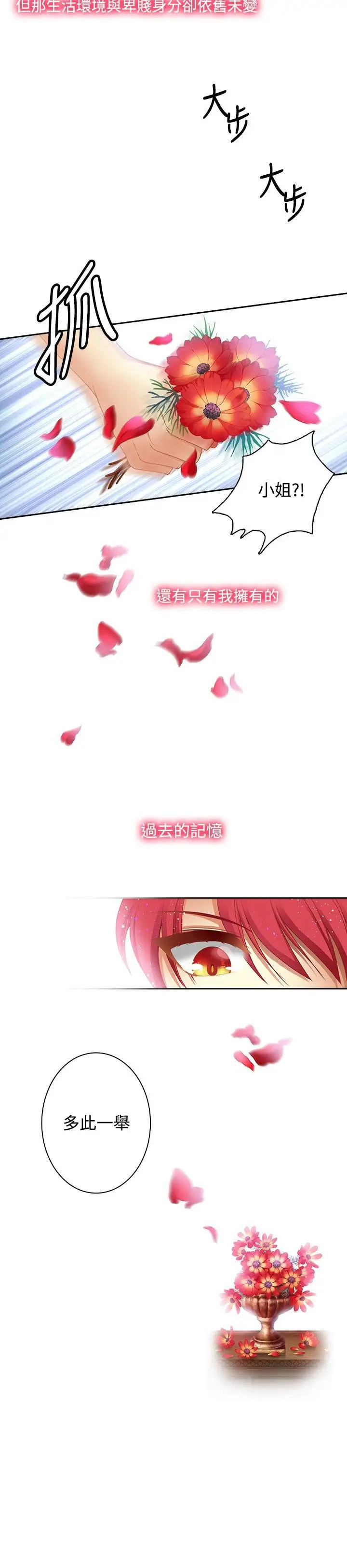 Adonis第1话
