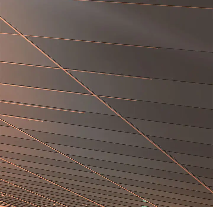 成人俱乐部第8话