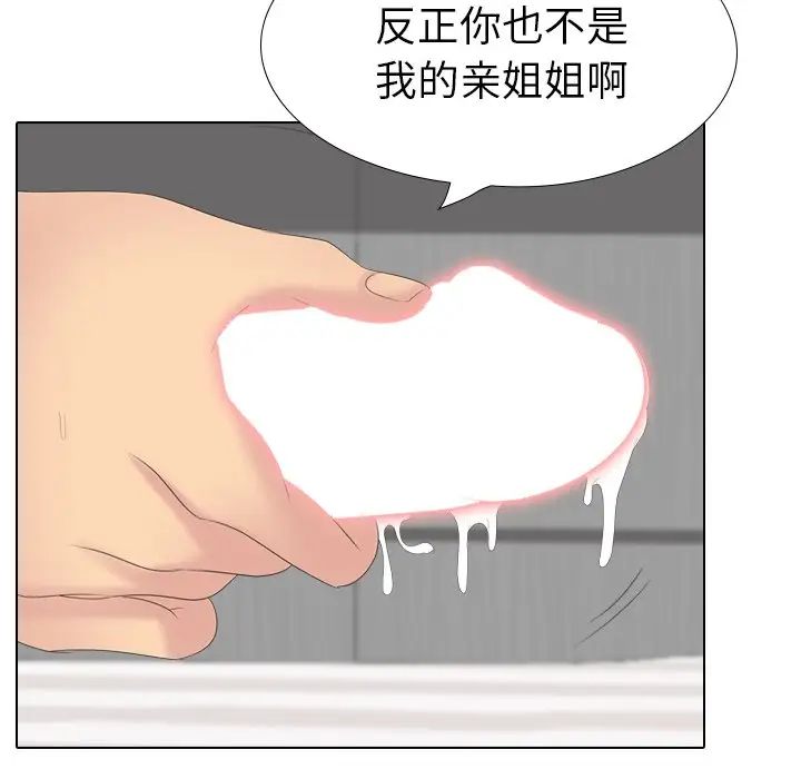 姊姊的秘密日記第28話