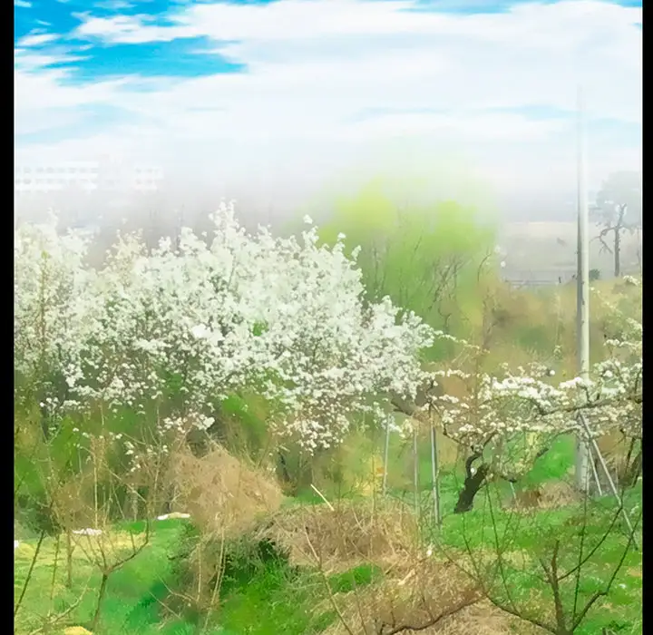 雷普利爱情第32话