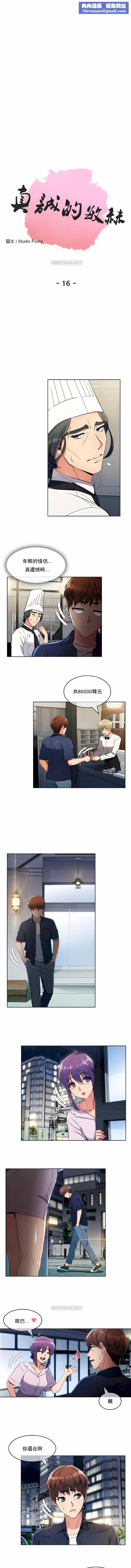 真诚的敏赫第16话