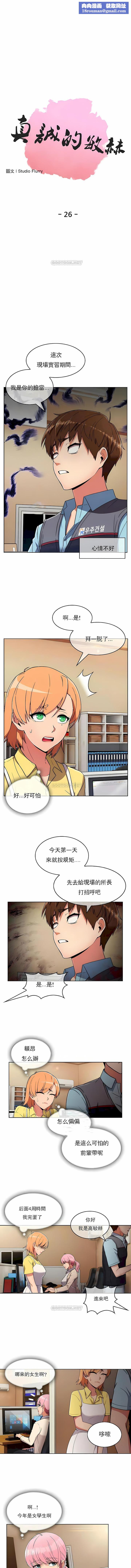 真誠的敏赫第26話