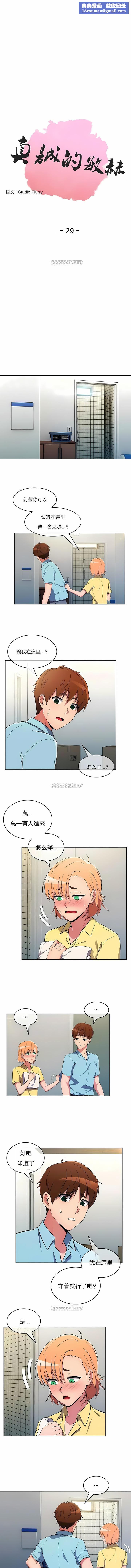 真诚的敏赫第29话