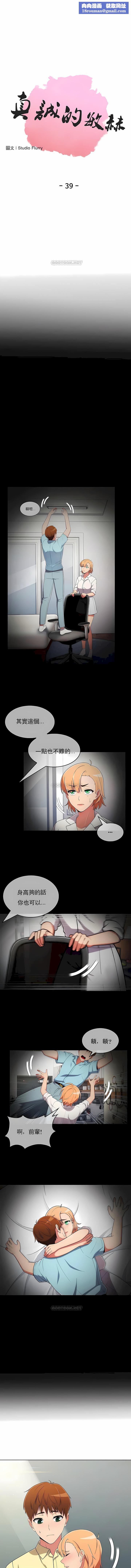 真诚的敏赫第39话