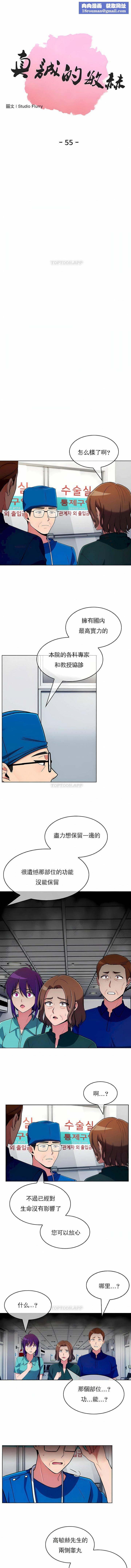 真诚的敏赫第55话