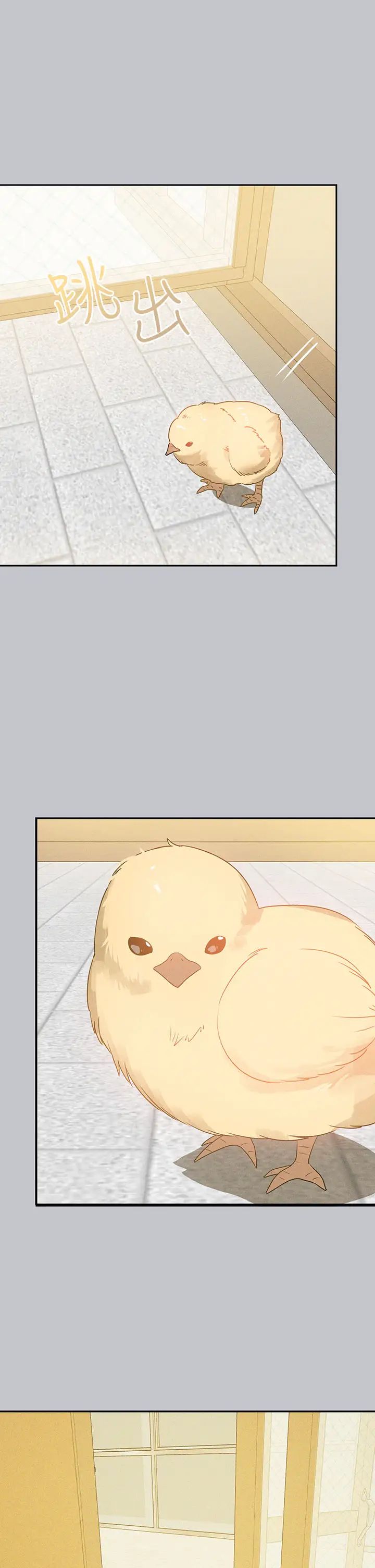 富家女姐姐第137话最终话-幸福美满的傢庭