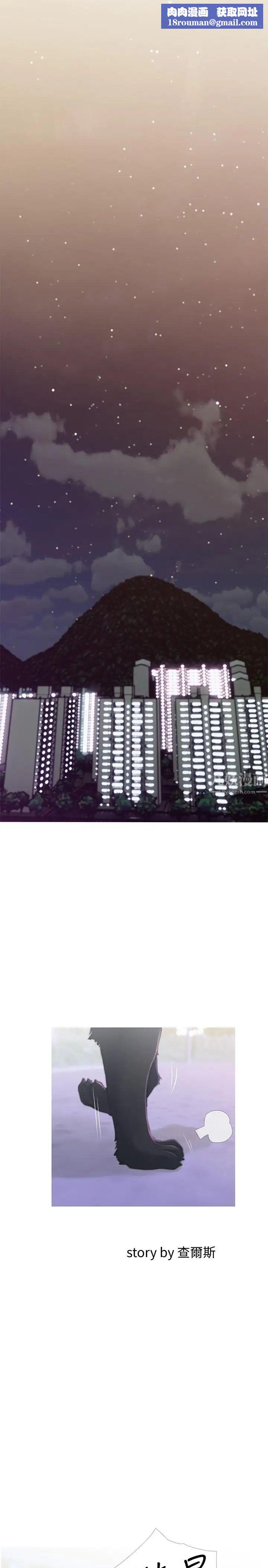 主妇危机第1话-偷窥住户们的邪恶视线