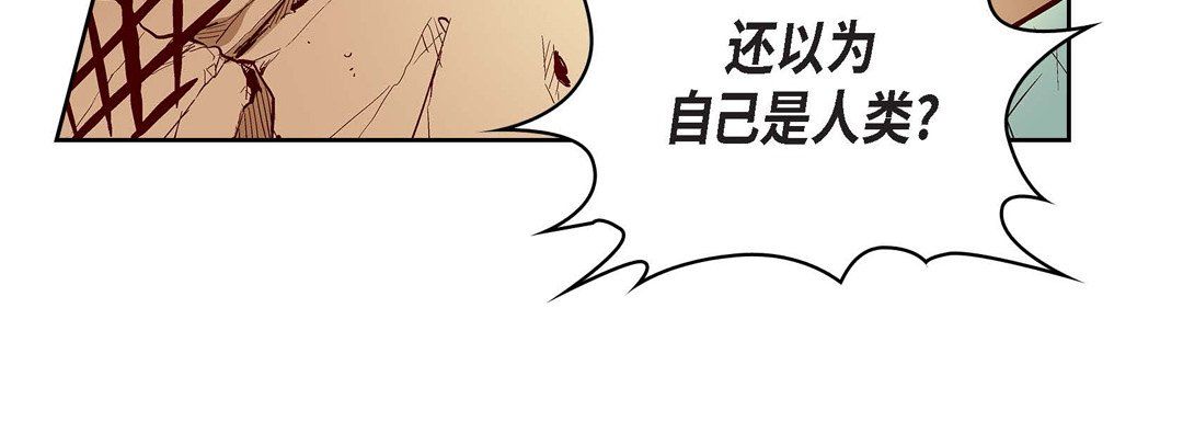 献给心臟第67话