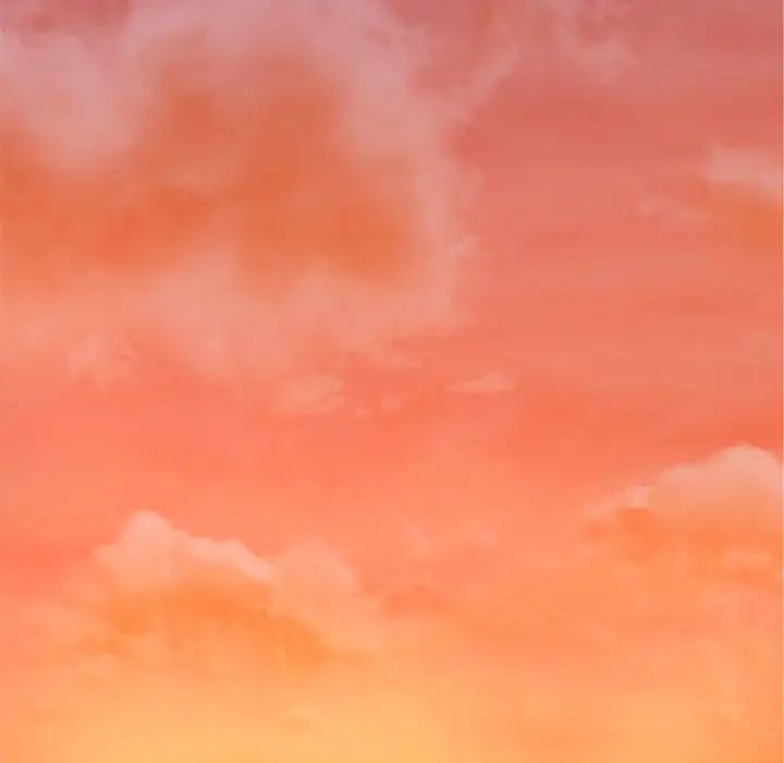 我的专属老师第20话