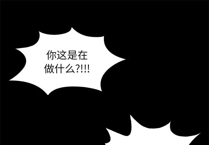 孤岛拼图第16章