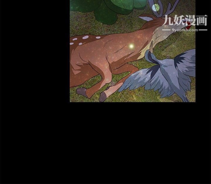 丛林爱爱法则第40话