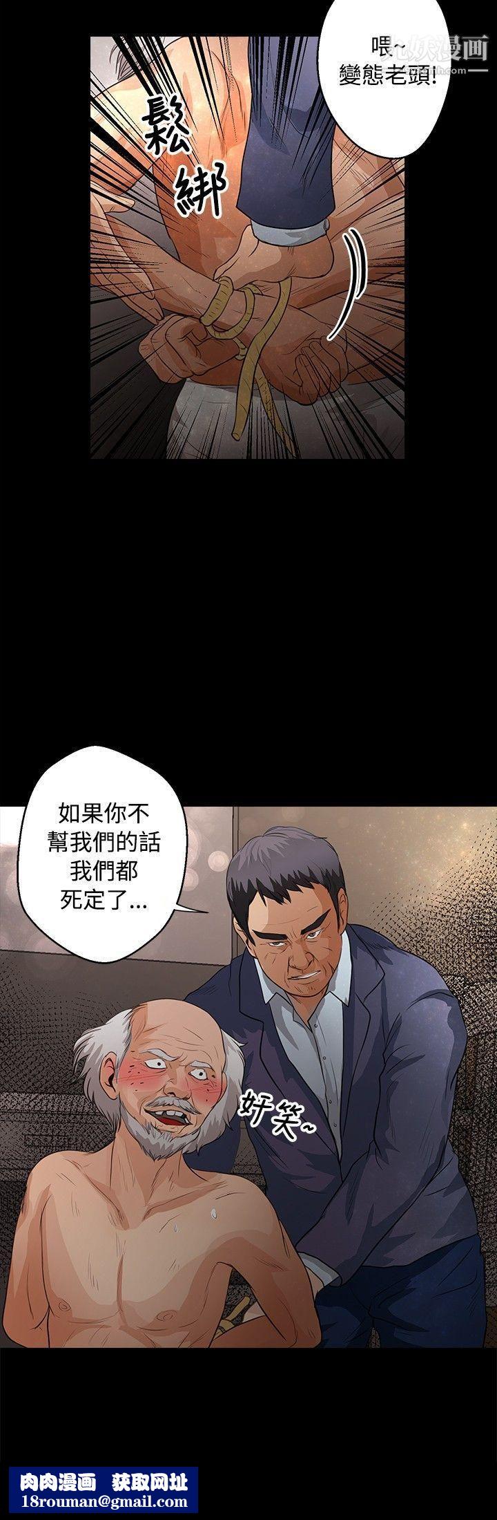 丛林爱爱法则第40话