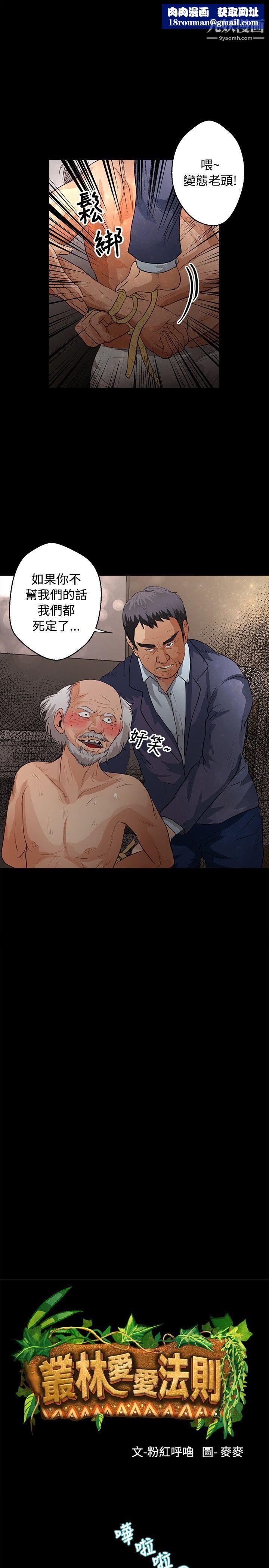 丛林爱爱法则第41话