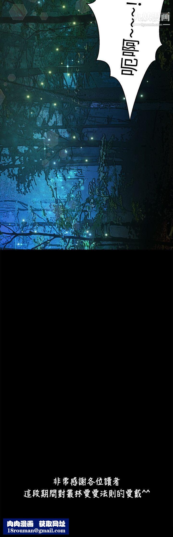 丛林爱爱法则最终话