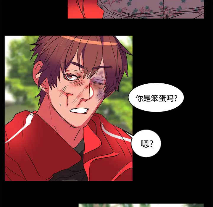 成人竞技场第13话