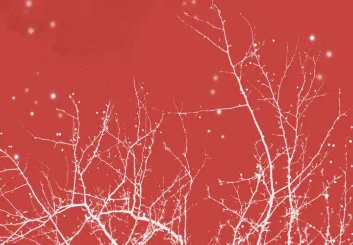 欲望人妻第34话