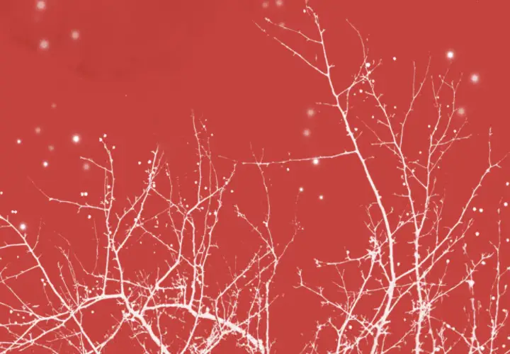 欲望人妻第37话