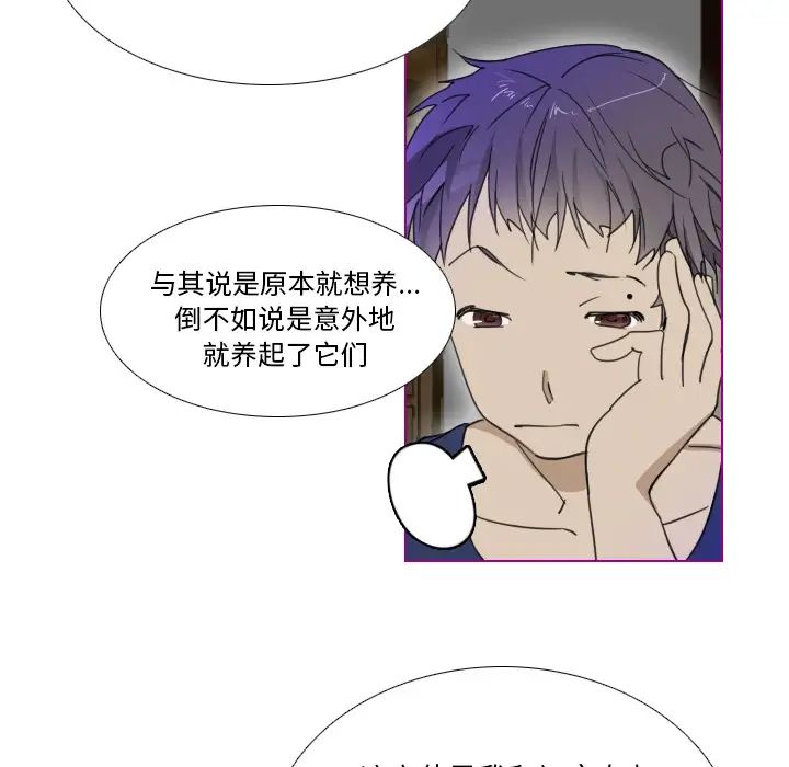 我的猫狗女友第1话