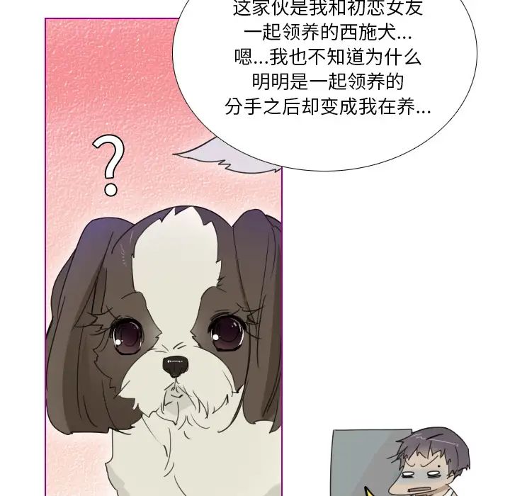 我的猫狗女友第1话