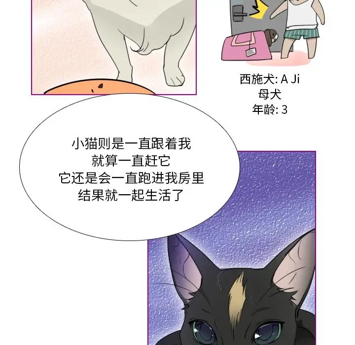 我的猫狗女友第1话