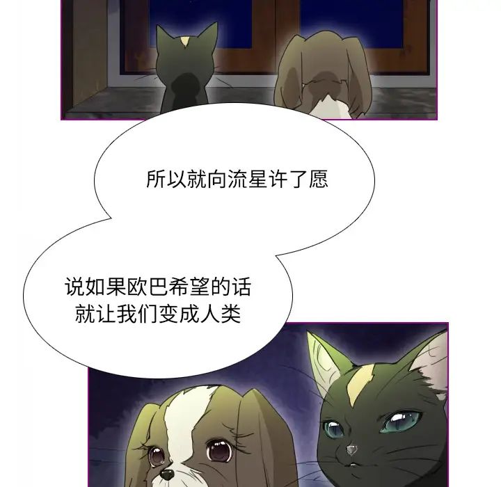 我的猫狗女友第2话