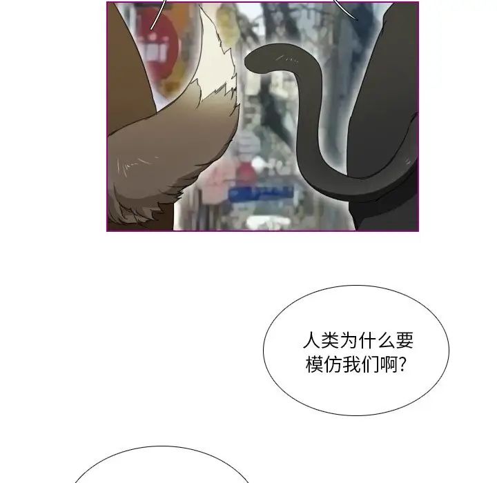 我的猫狗女友第4话