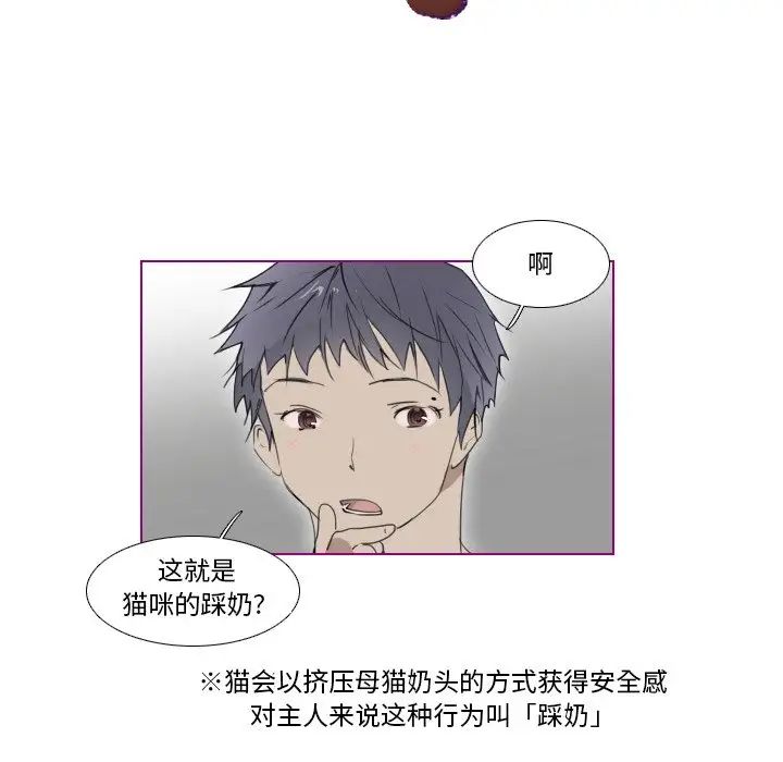 我的猫狗女友第8话