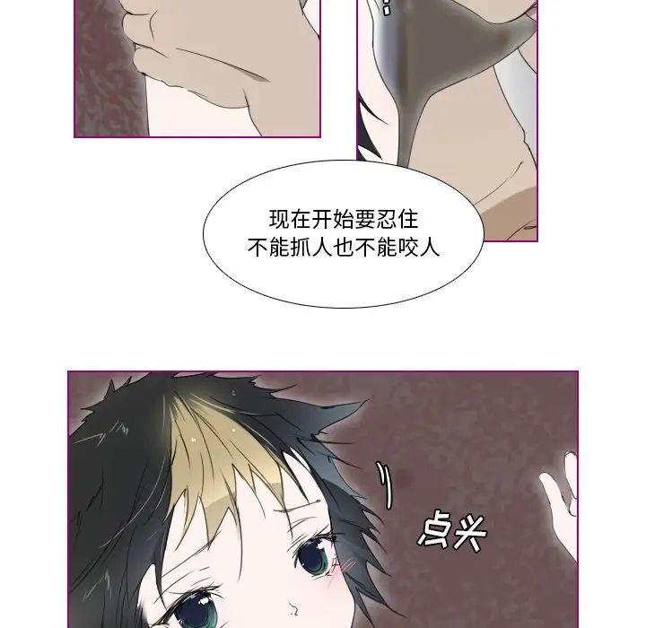 我的猫狗女友第8话