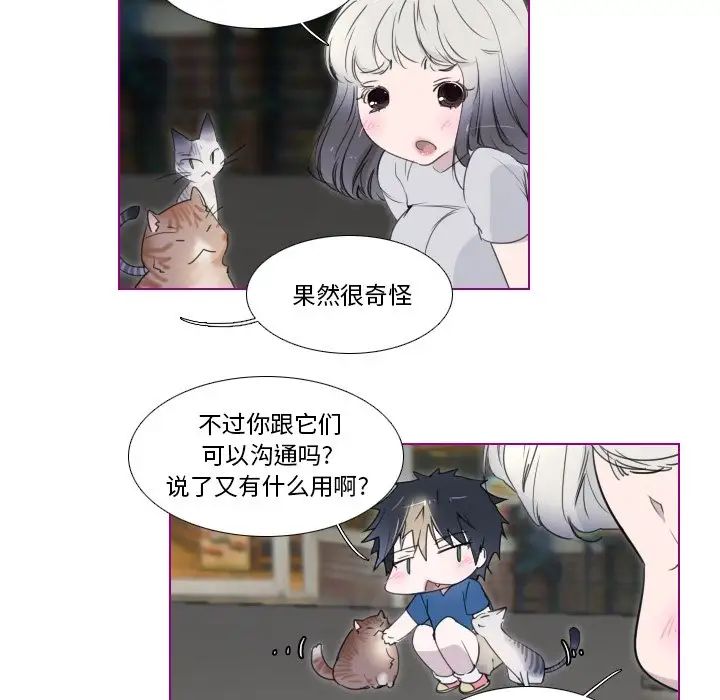 我的猫狗女友第11话