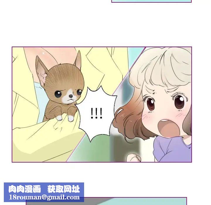 我的猫狗女友第13话