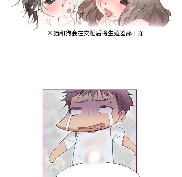 我的猫狗女友第16话-最终话（完结）